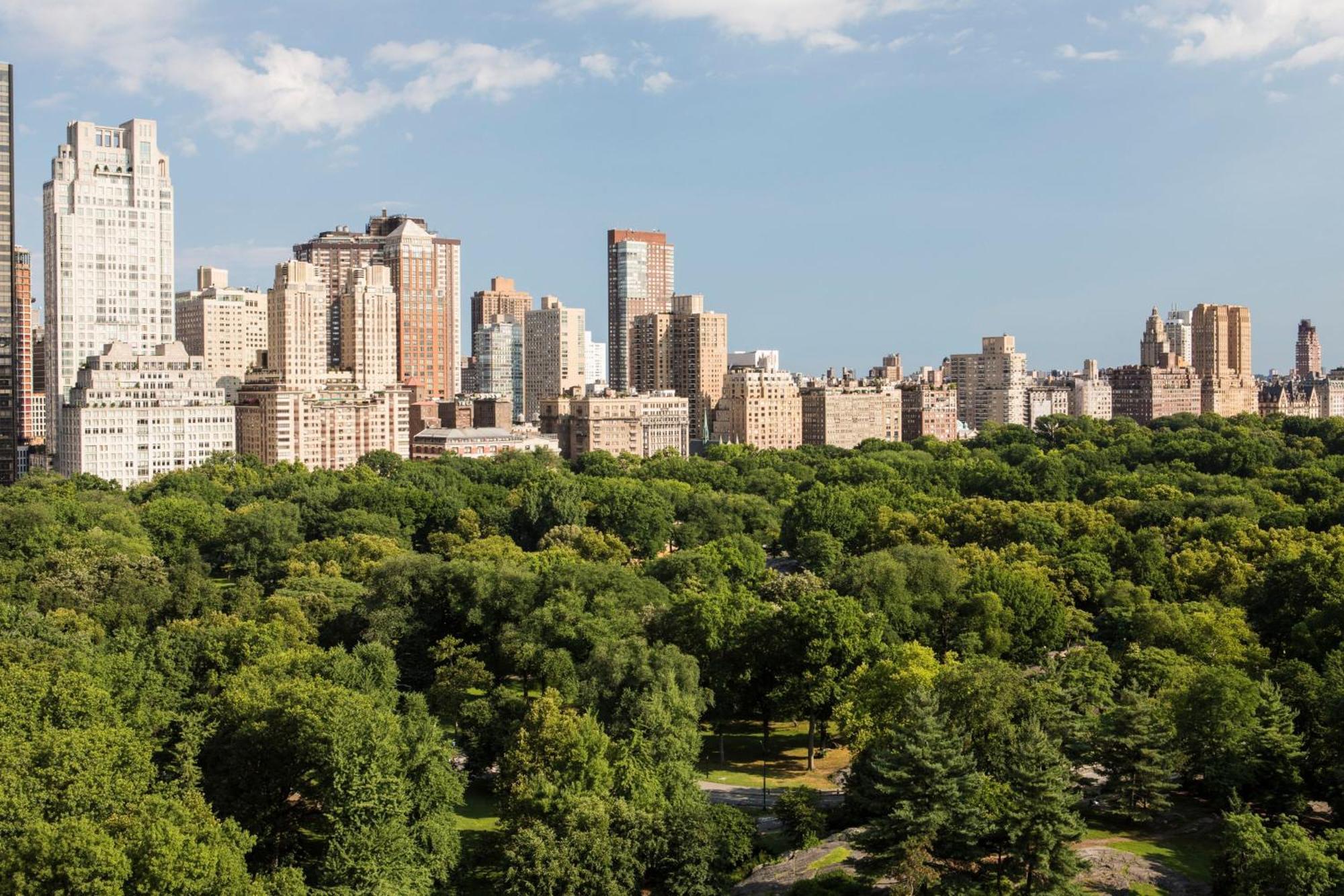 Hotel The Ritz-carlton New York, Park Nueva York
